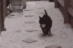 华体会官网-意甲内战硝烟与海外远征，当卡塔尔资本加时击碎阿森纳，亚平宁的野心与焦虑